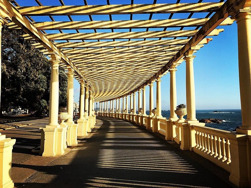 Pérgula da Foz oporto