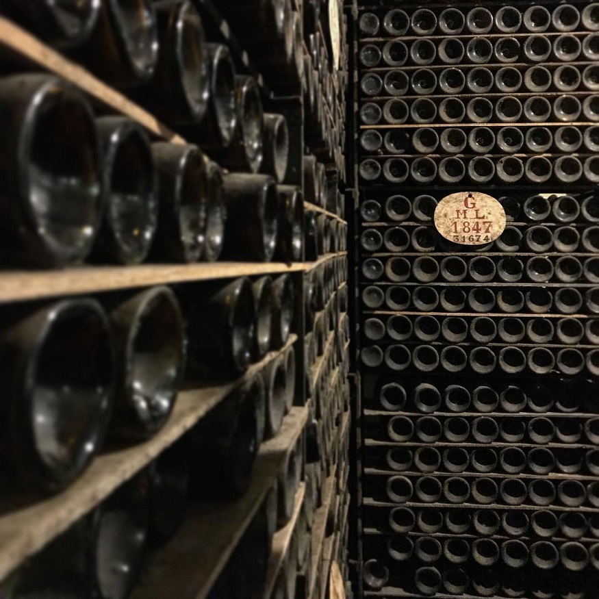 vino oporto
