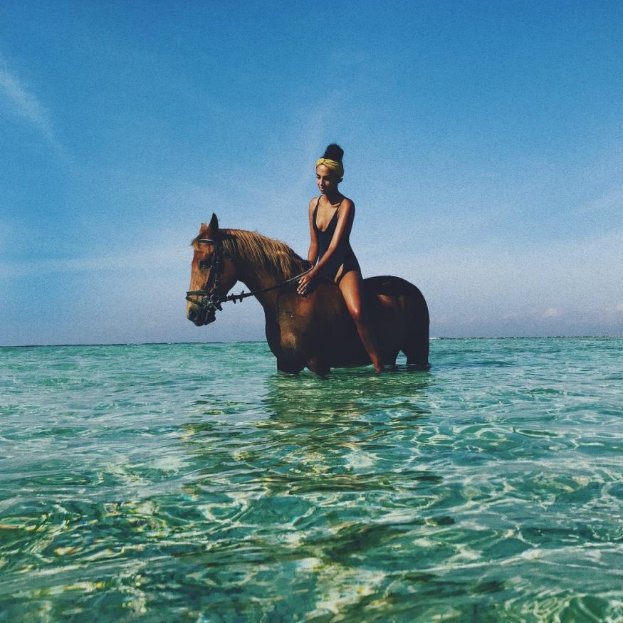 Gilli Islands @hairbear_ horse