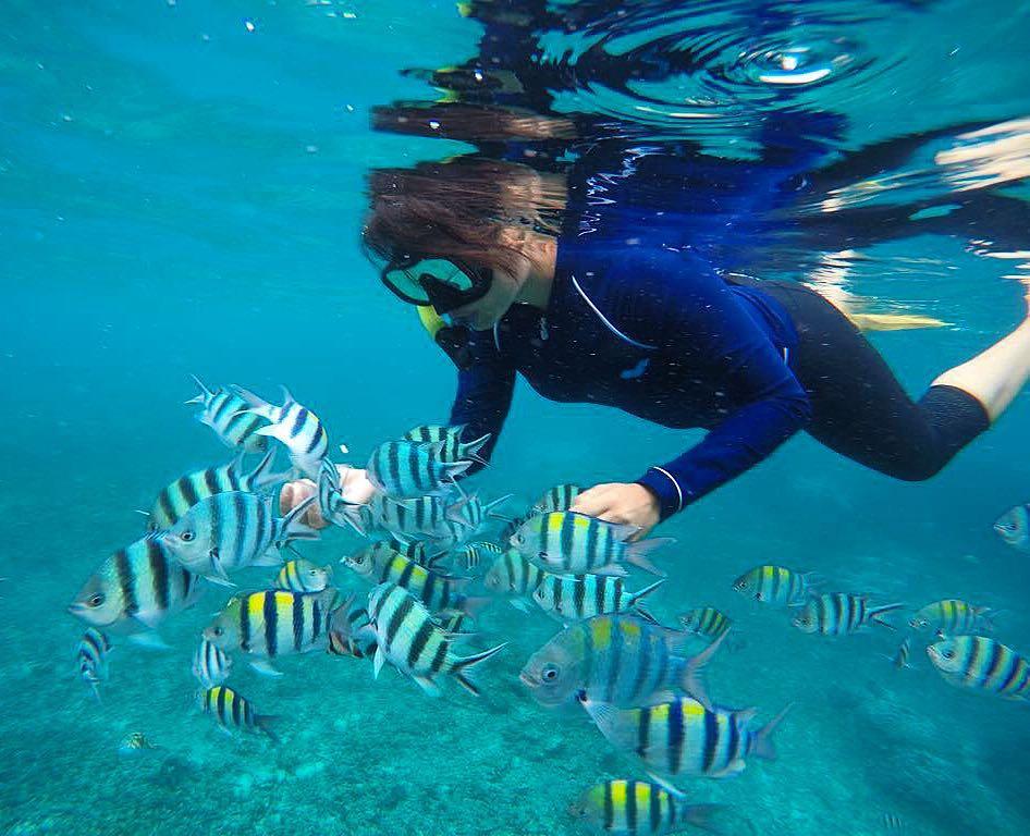 Gilli Islands @rosellawatee diving
