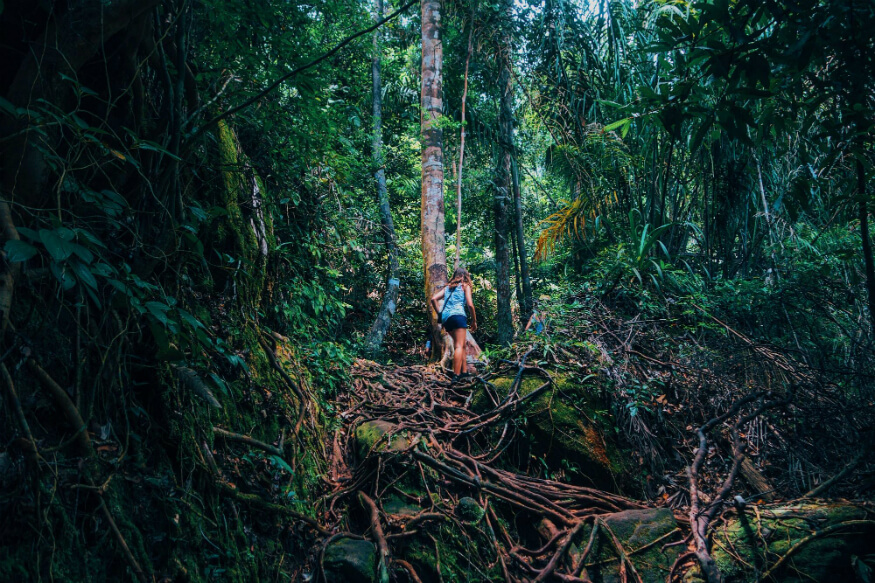 Travel Experiences,borneo-bako-national-park-3-smaller