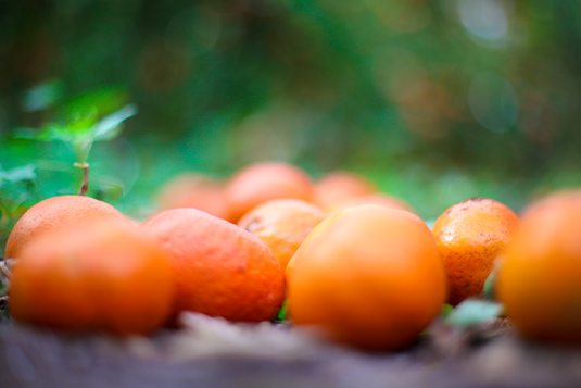 Photography mistakes to avoid