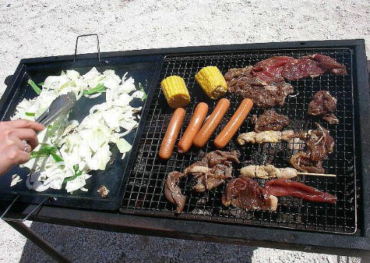 BBQ Beach - SydCam