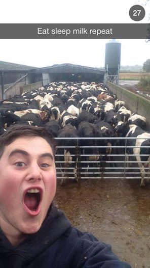 felfie