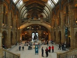 Highlights of London - Free Museums