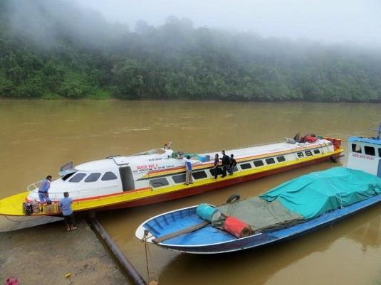 borneo schiff