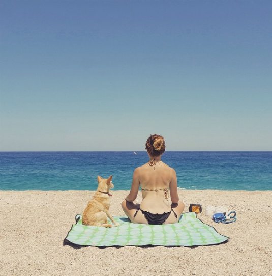 dog beach