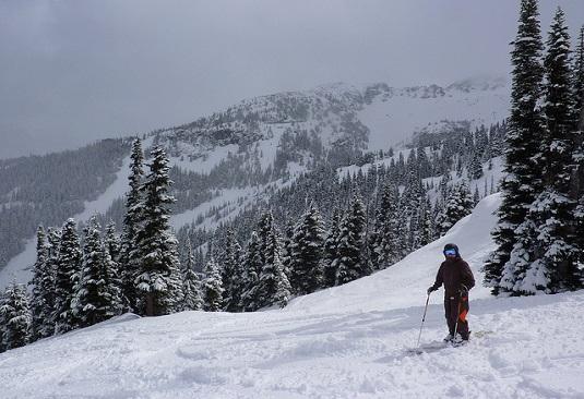 whistler