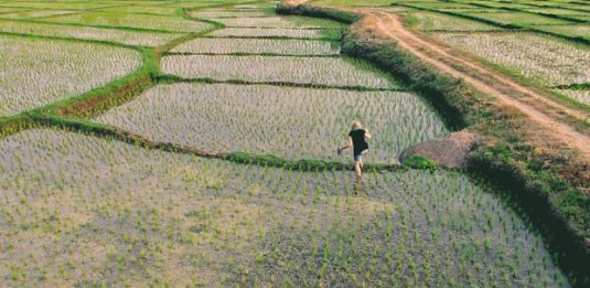 world precision farming