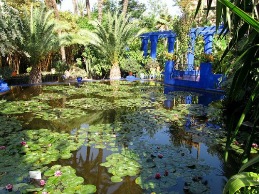 jardin