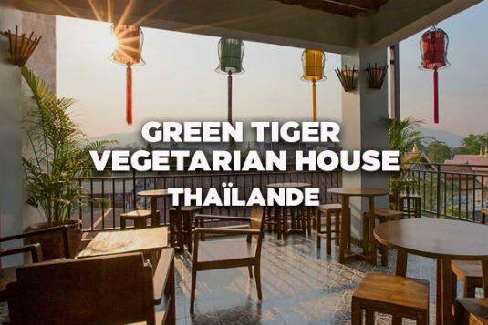 Green Tiger Thailande
