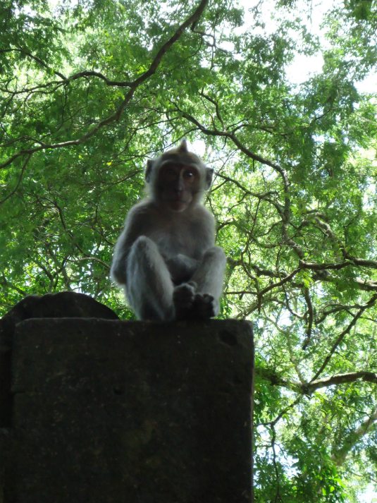 Ubud