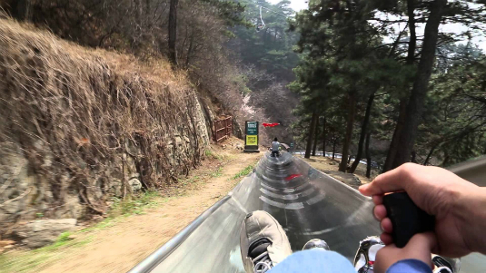 Toboggan