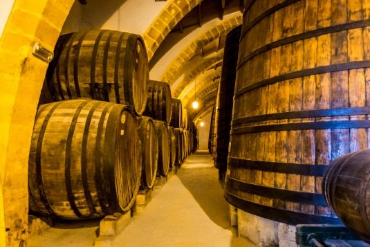 Wine Tasting