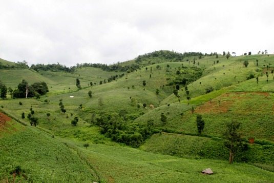 montagne