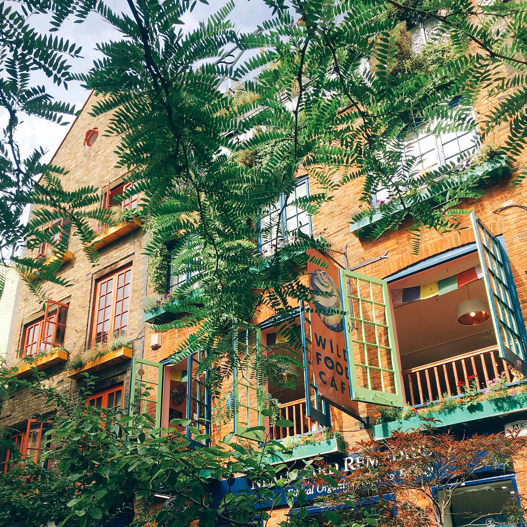 Covent Garden Wild Food Cafe