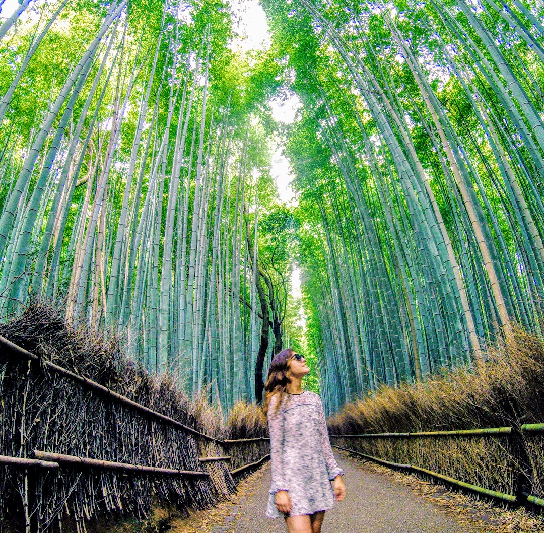 Arashiyama Bamboo Forest