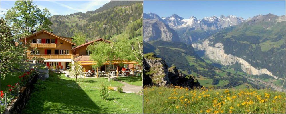 9 Collage Valley