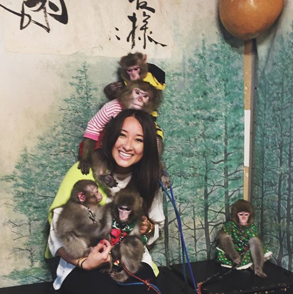 Singes au Japon