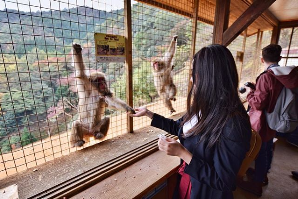 Monkey Mountain