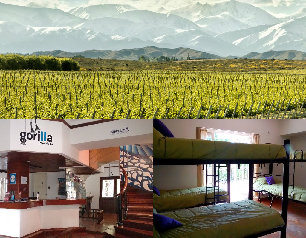 Mendonza, Hostel, Gorilla