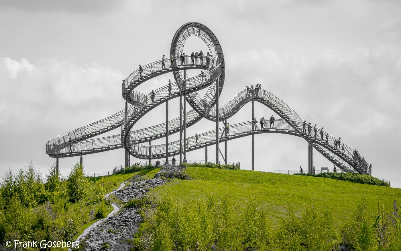 Tigre Tartaruga, Duisburg, Alemanha