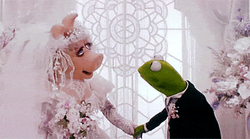 Caco Piggie Casamento