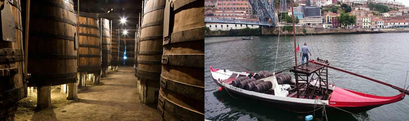 Caves Vinho, Porto, O que fazer