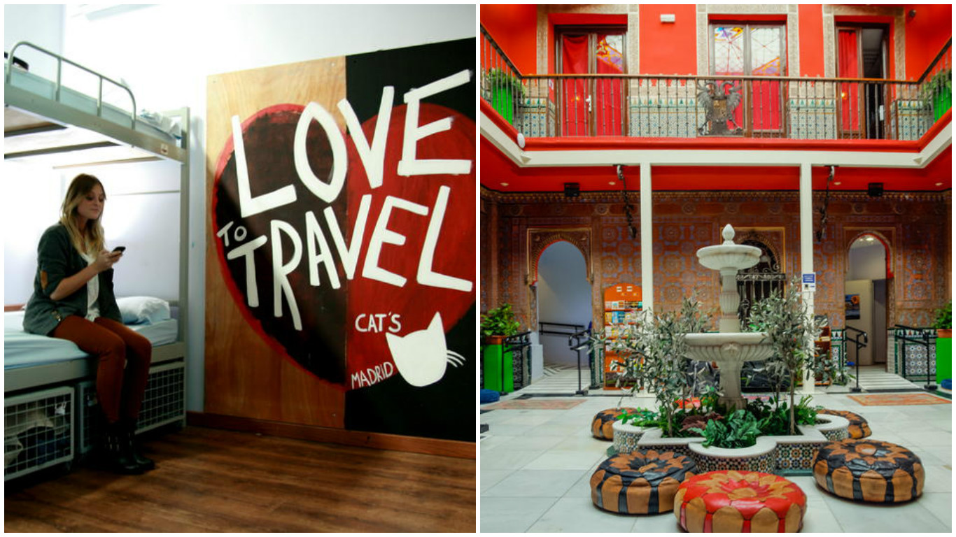 Living cats Hostel Madrid