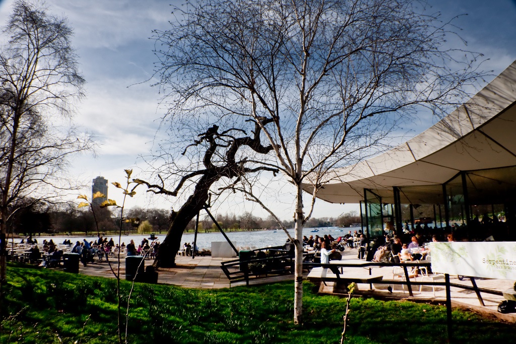 Serpentine Bar and Kitchen