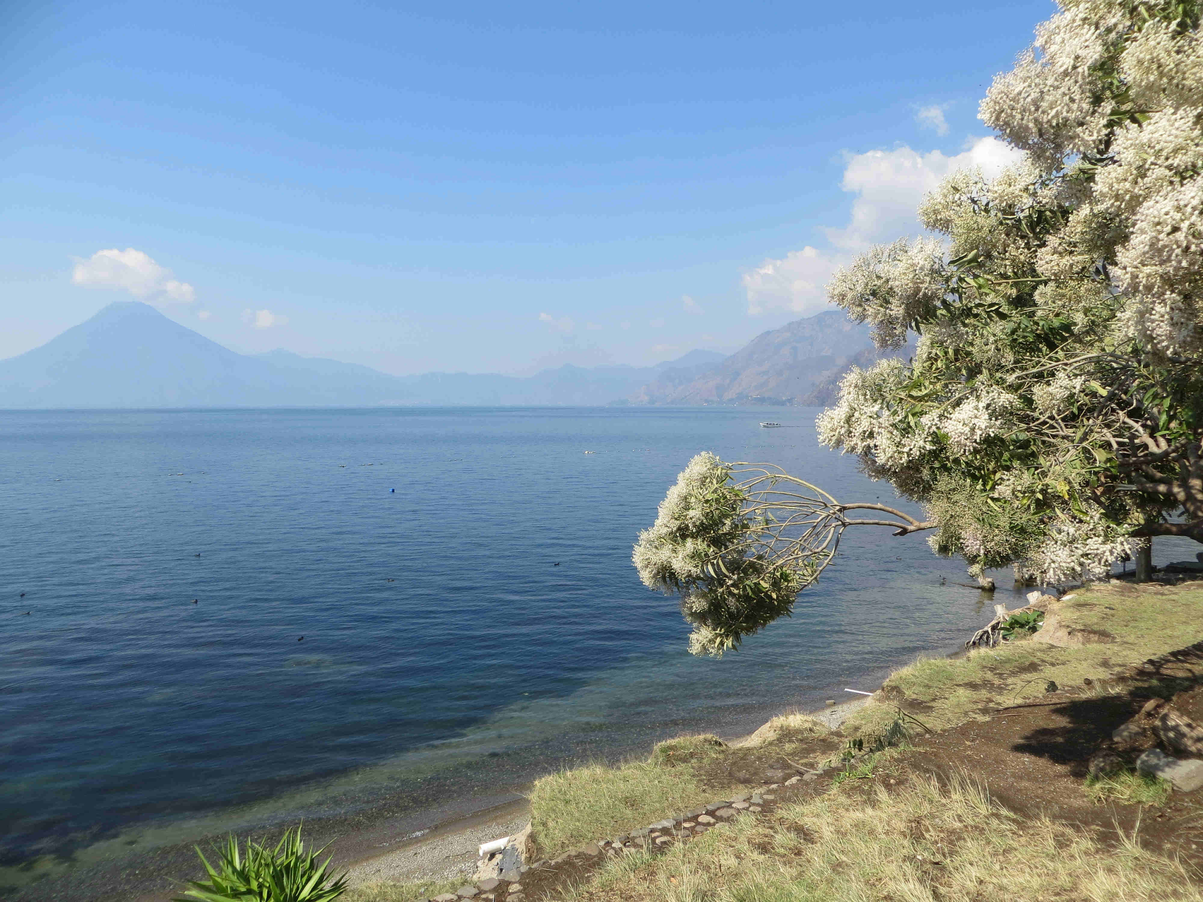 der-lago-atitlan-in-guatemala