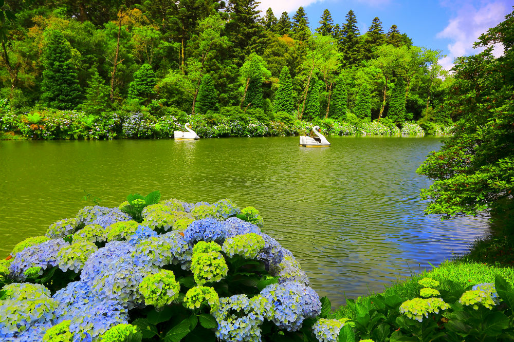 Gramado