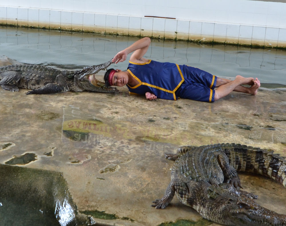 crocodile-mouth-open-l