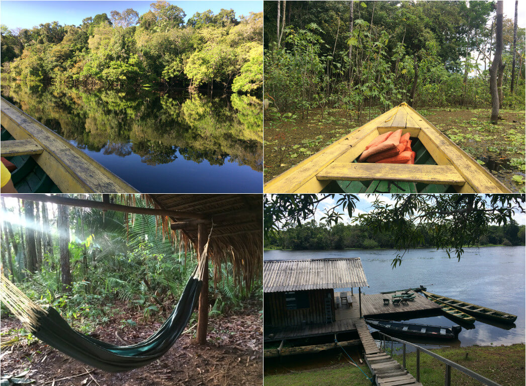 Selva-Rede-Amazonia