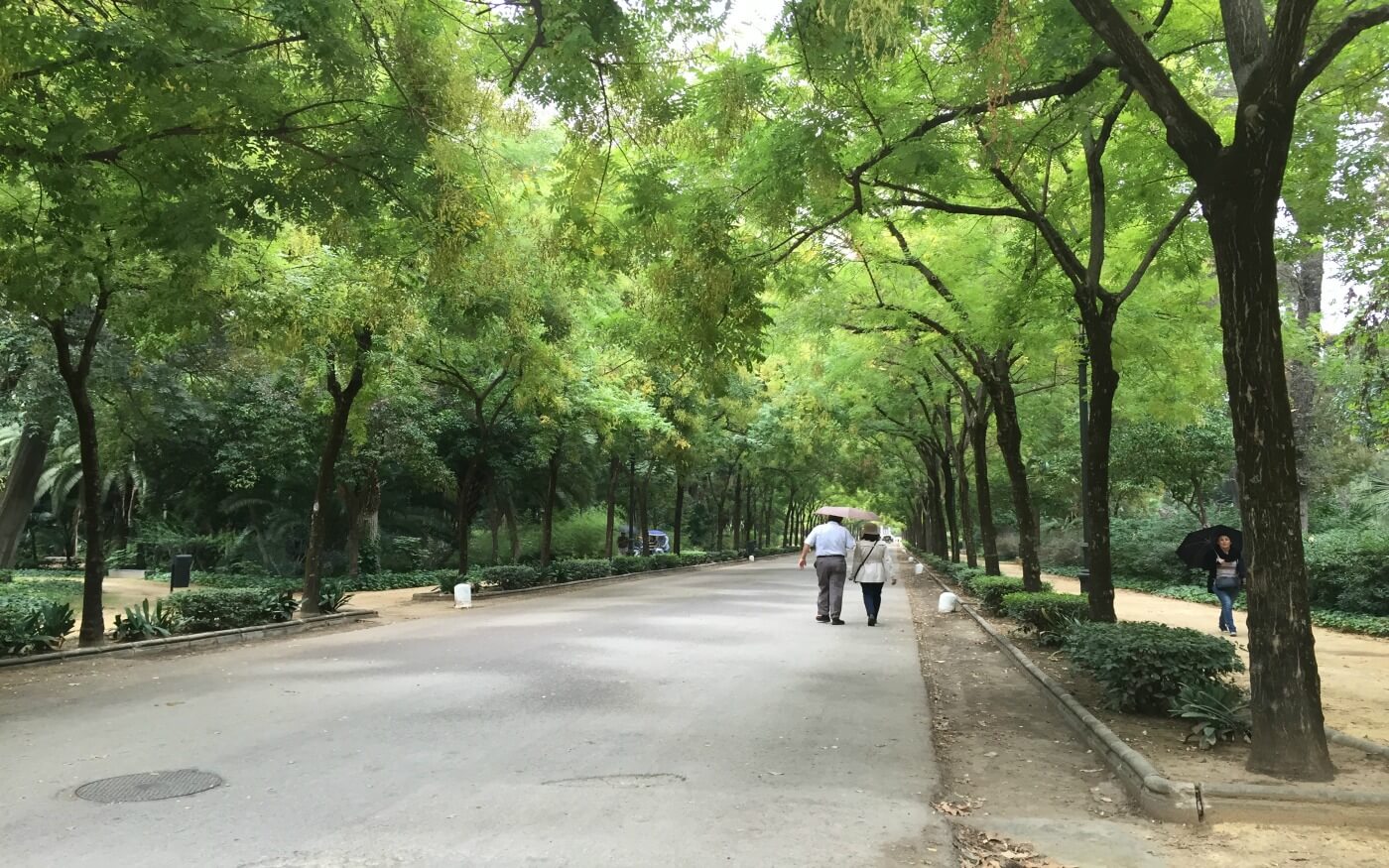 Parque Maria Luisa 