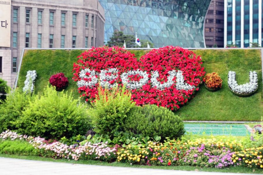 Paula Buzzo SEOUL-02