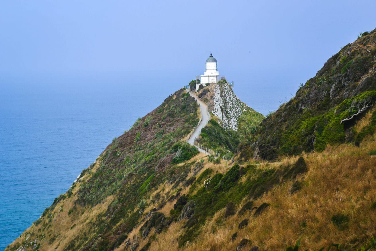 The-Carlins-Nugget-Point-2 sommertage