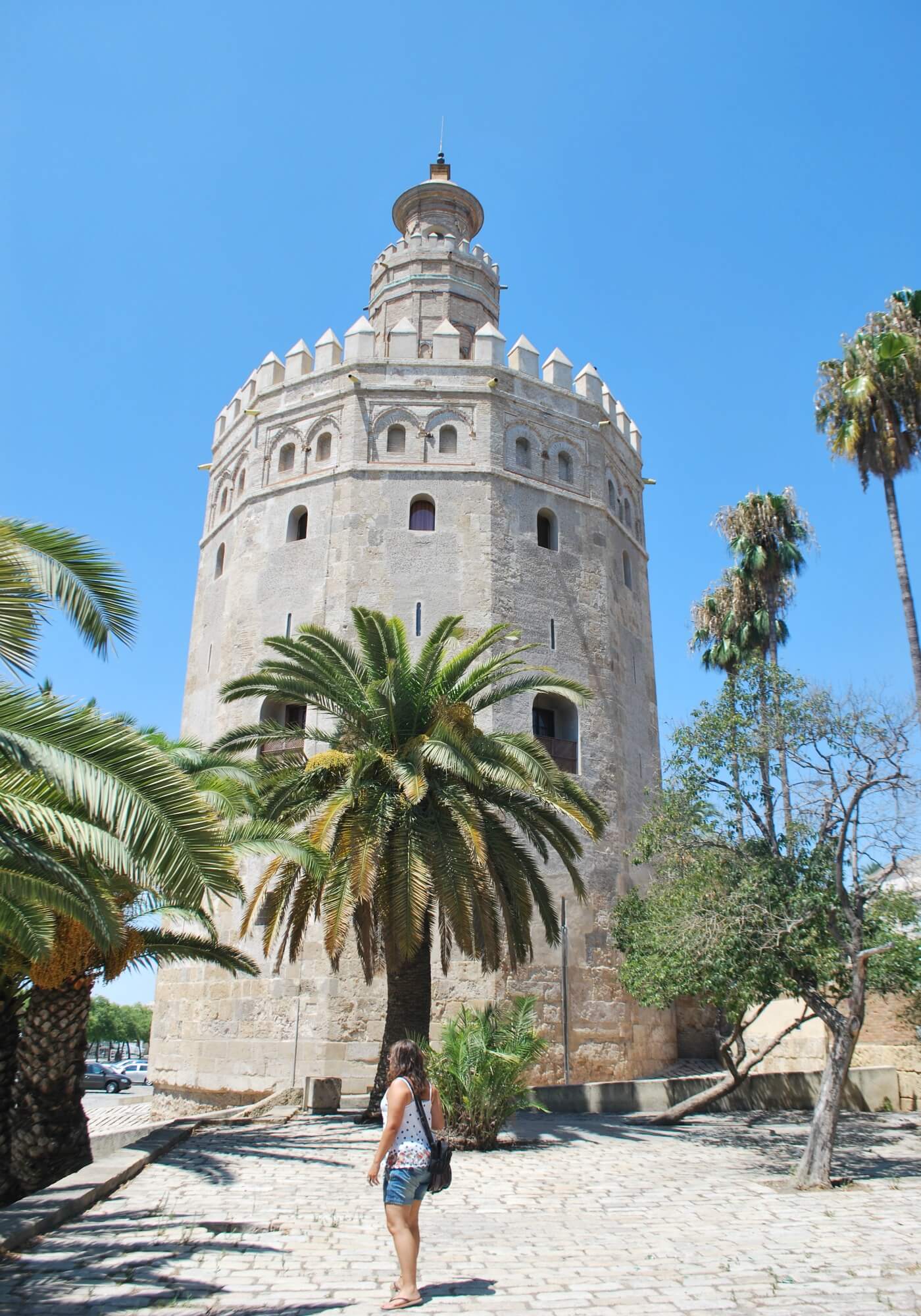 Visitar la Torre del Oro en Sevilla 