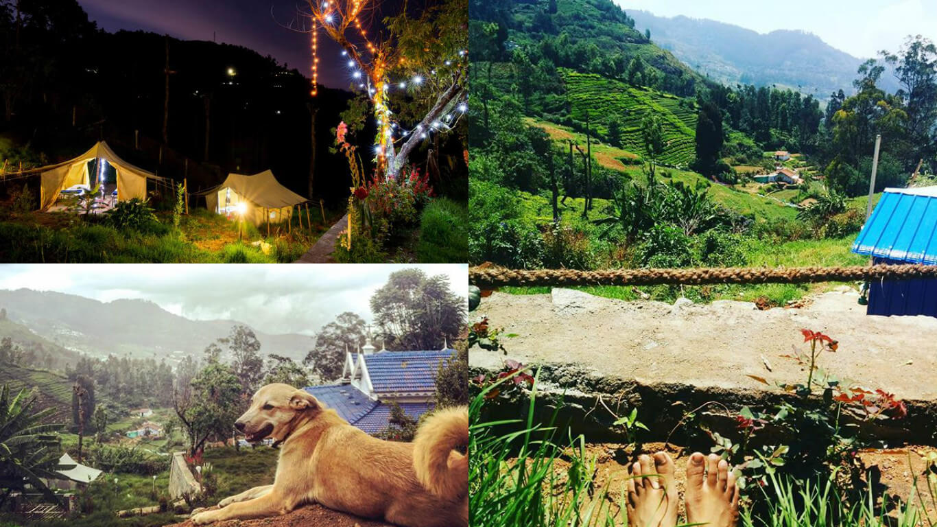 ooty