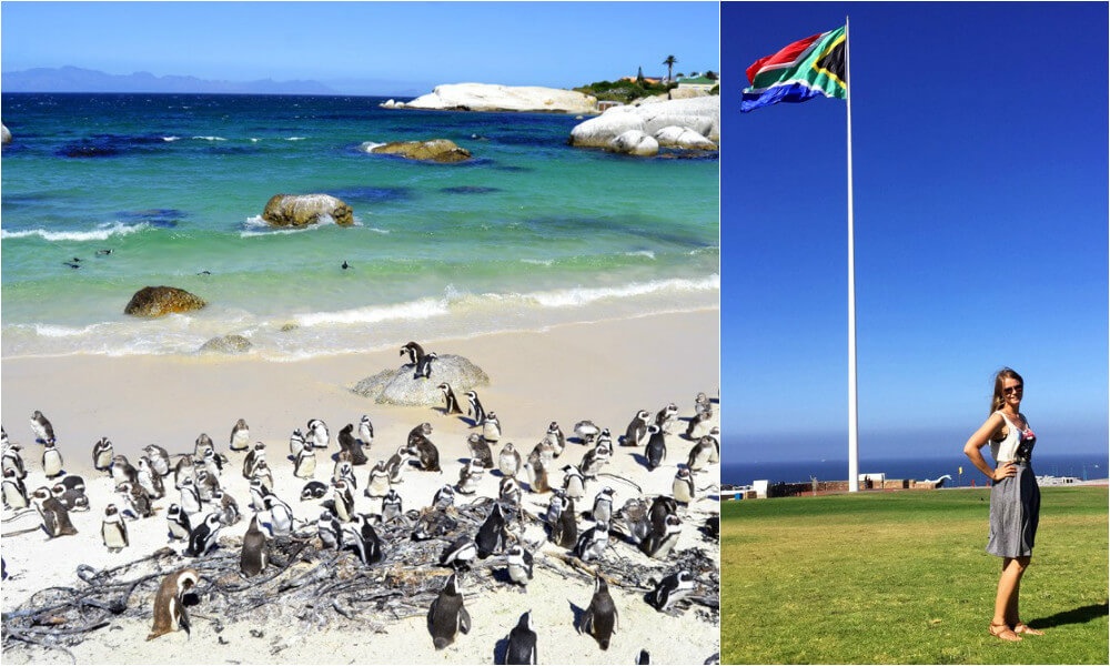 suedafrika-franzi-collage