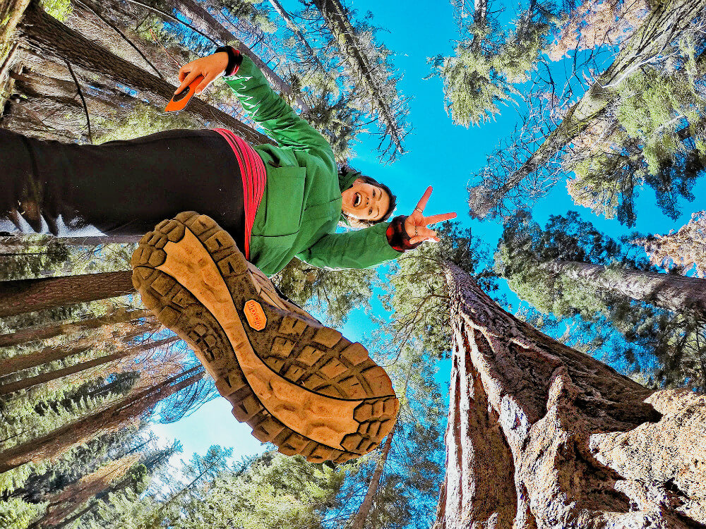 yosemite-threes-paty-small