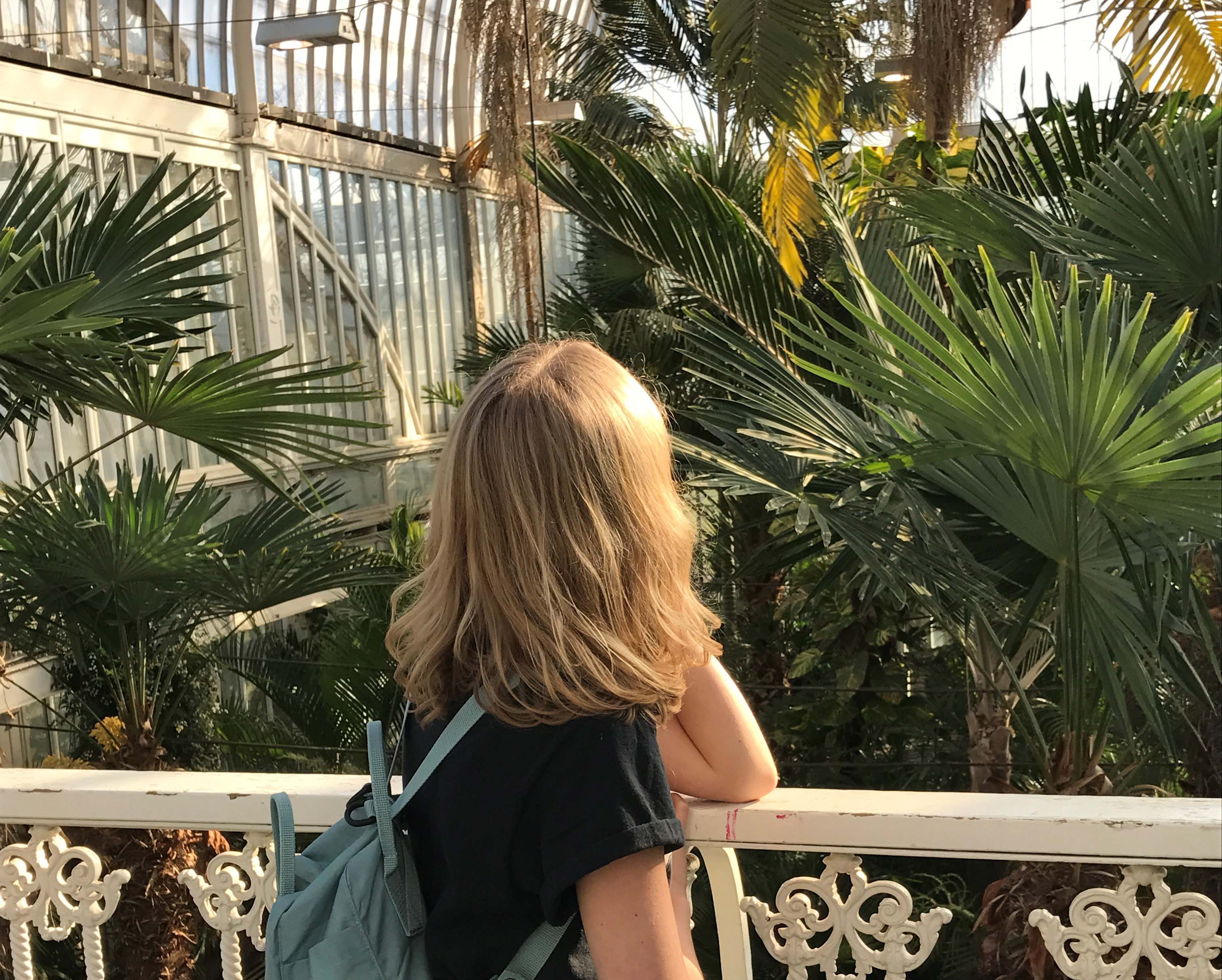 Guide to Gothenburg palmhuset_hiimmimib