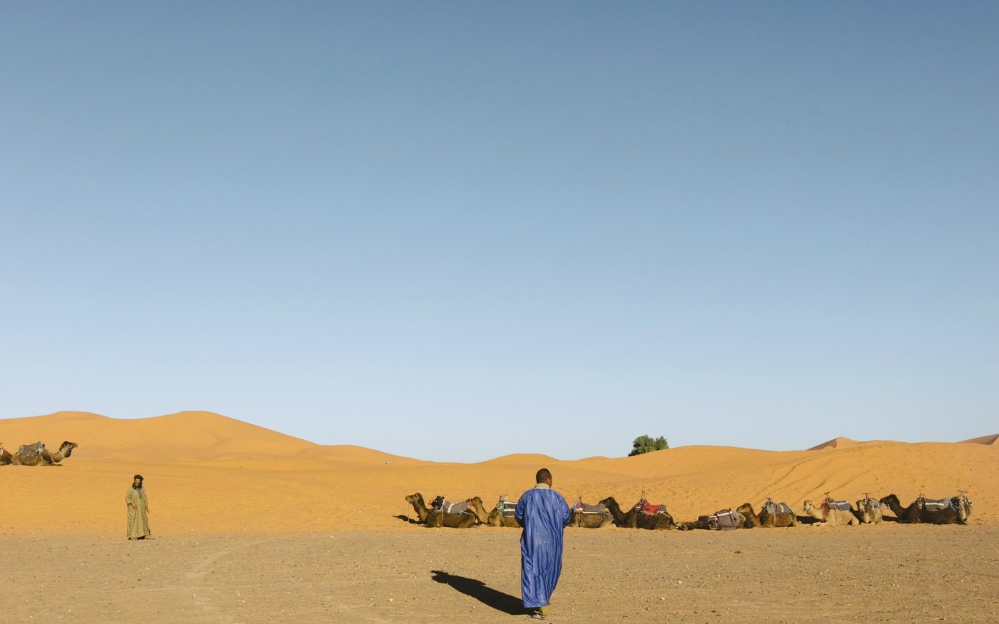 Marrakesh 