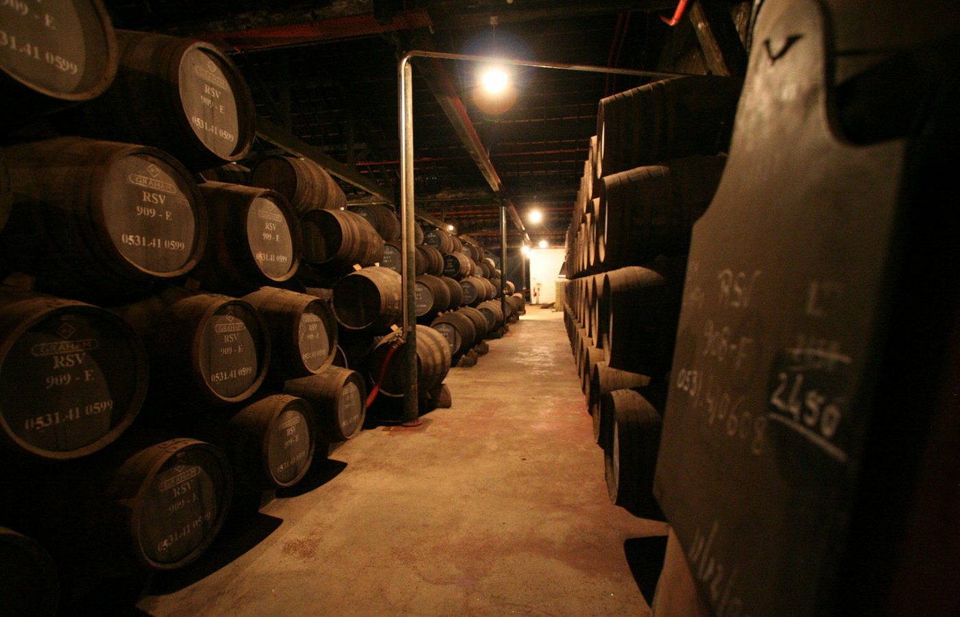 visiter porto cave à vin