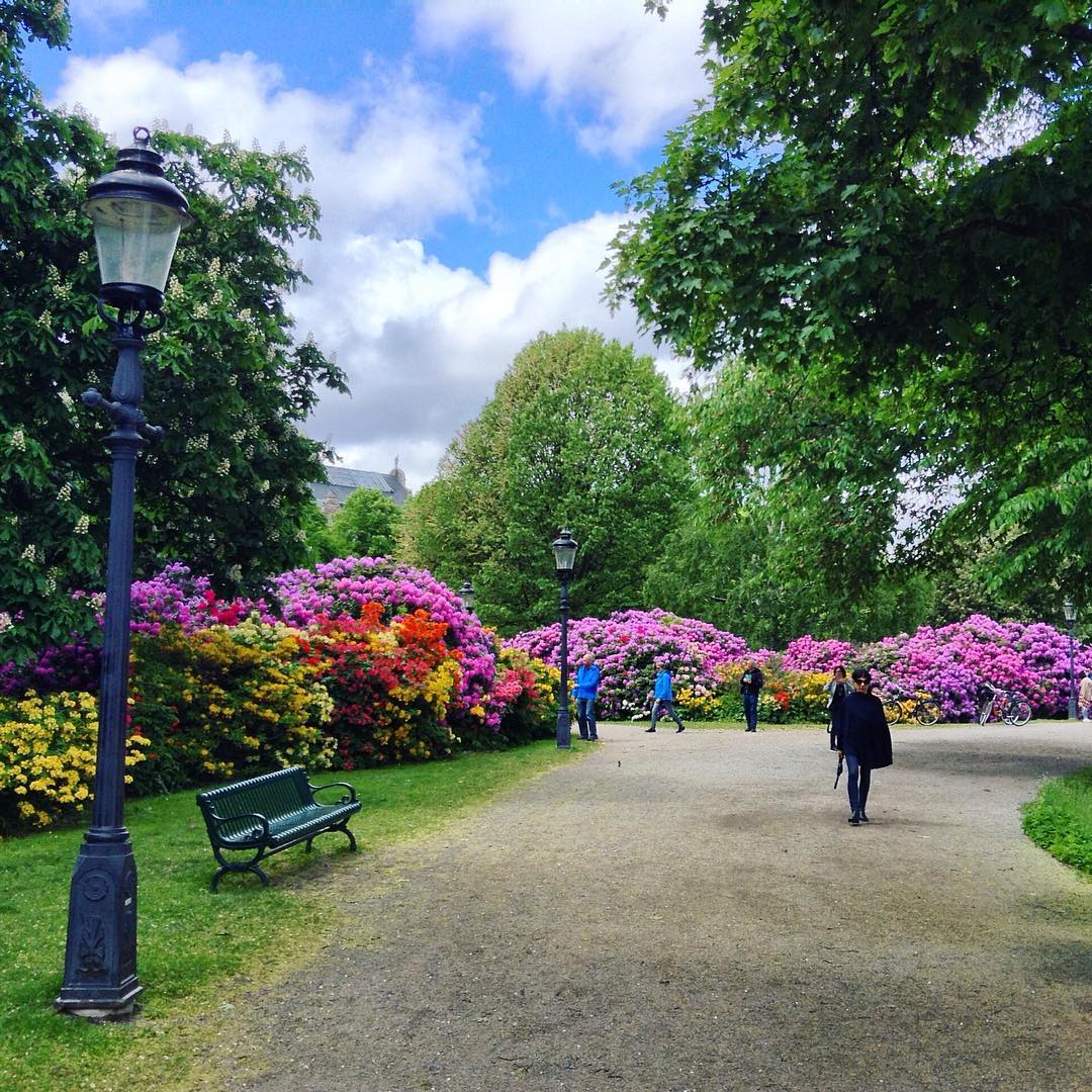 People walking in Djurgården, one of Stockholm's best parks