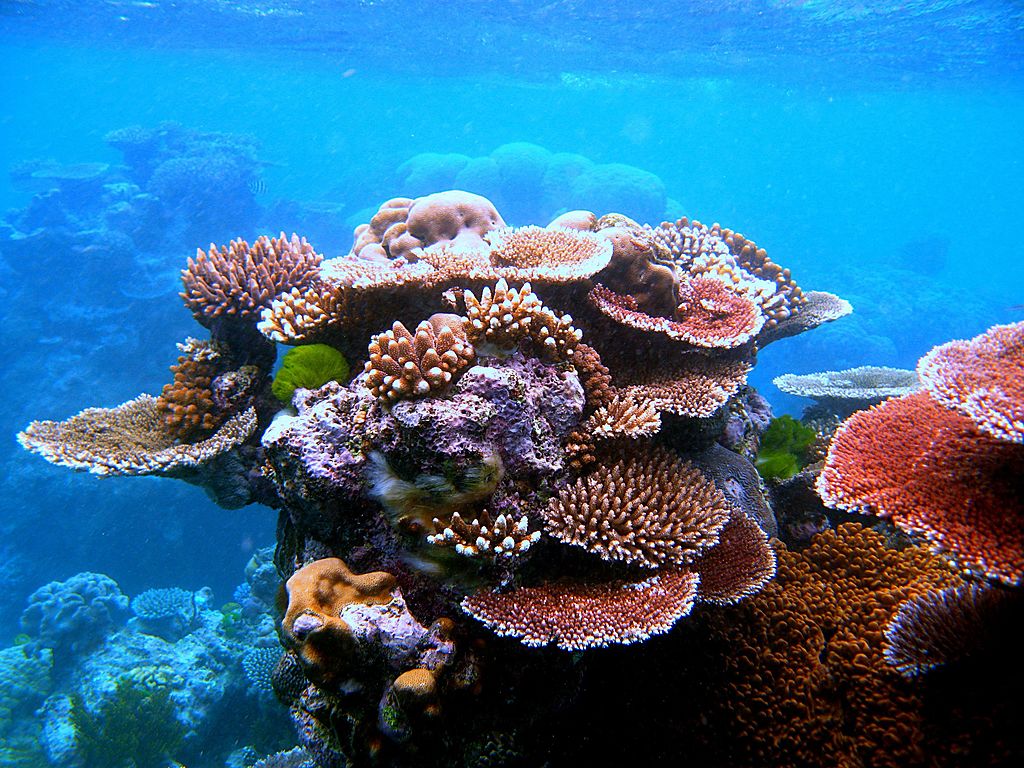 most colourful places great barrier reef