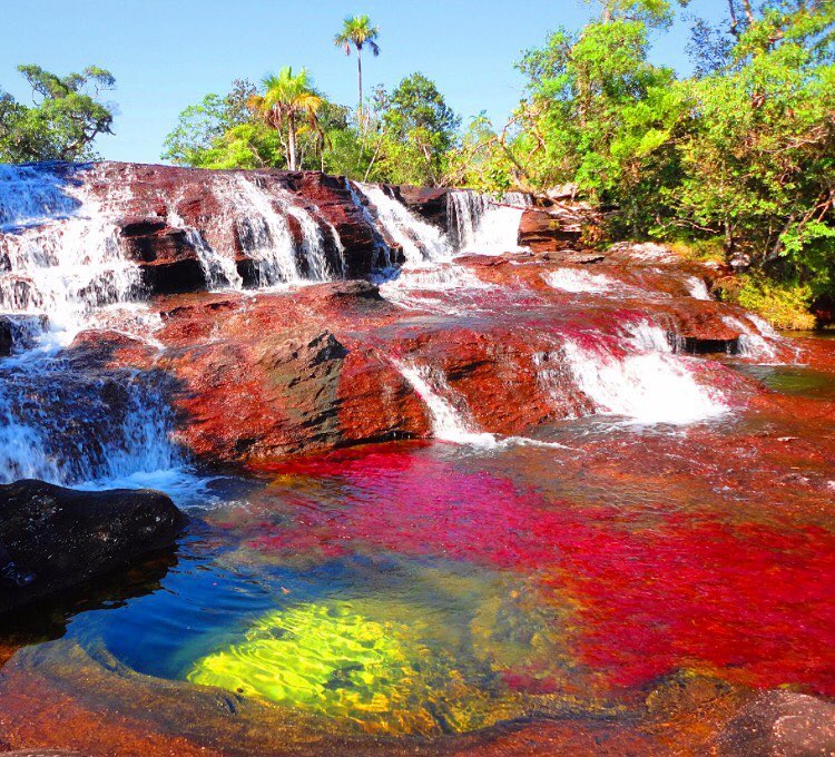 Colourful Places - Caño Cristales River, Colombia