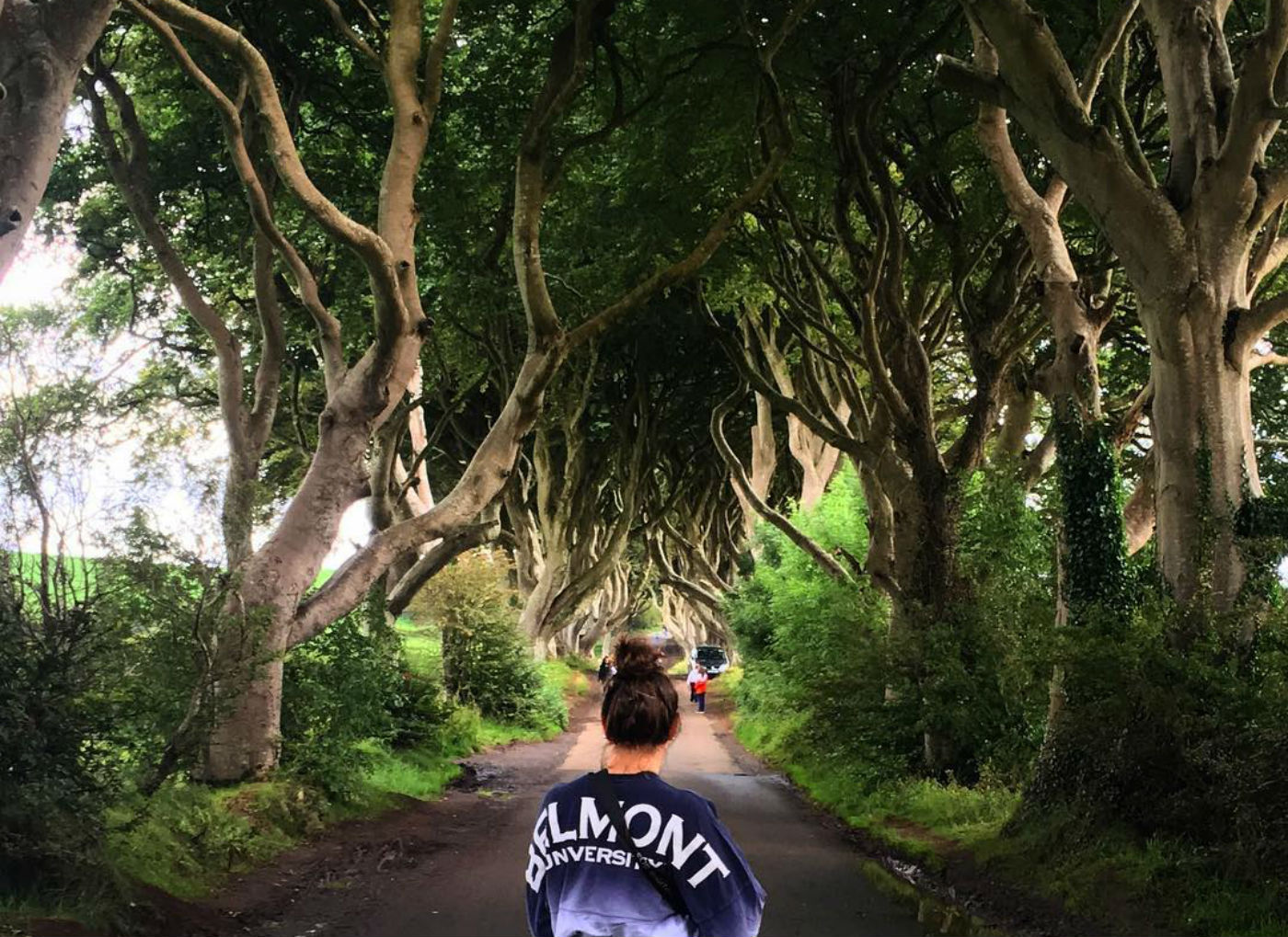 les lieux de tournage Game Of Thrones, dark hedges