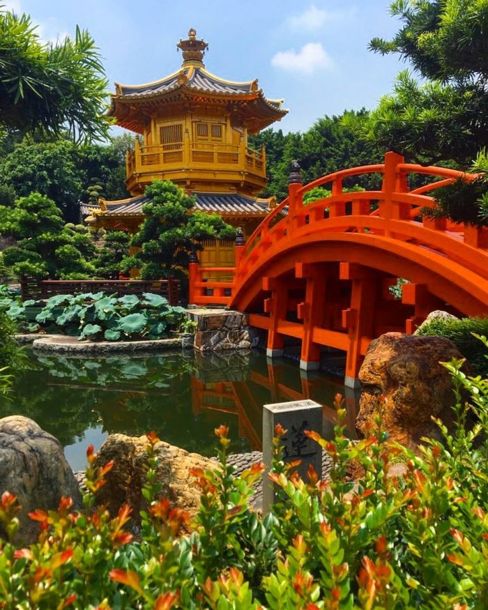 15 cosas que hacer en Hong Kong