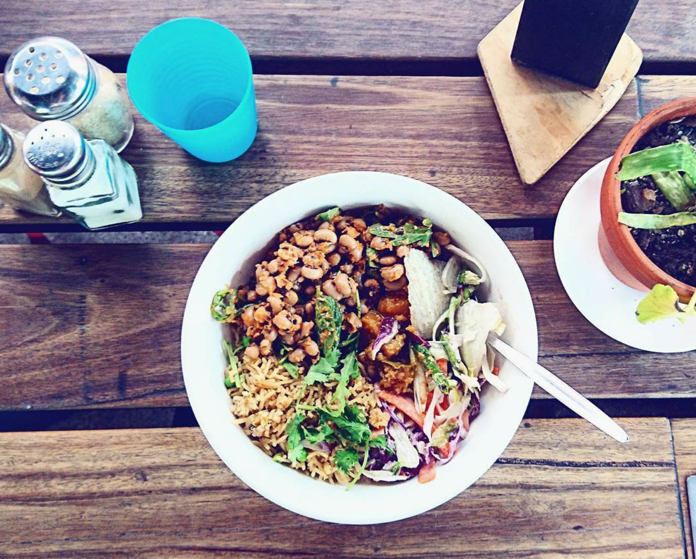 Things to do in Sydney Lentil As Anything @staycoconuts